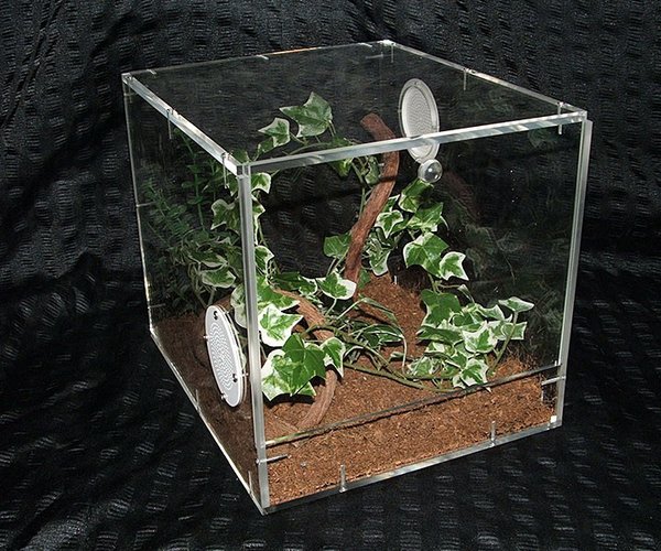 Terrarium aus Acrylglas, stapelbar .