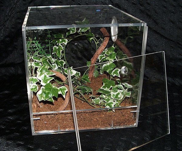 Terrarium aus Acrylglas, stapelbar .